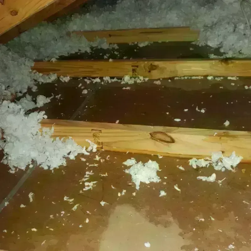 Attic Water Damage in Flemington, PA